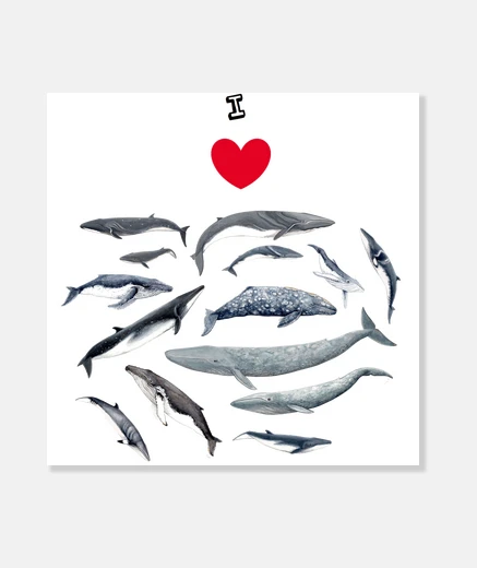 Stampa amo le balene immagine
