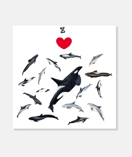 Stampa amo los delfini tela
