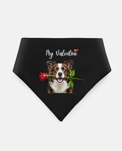 Mascotas Amor de un Border Collie