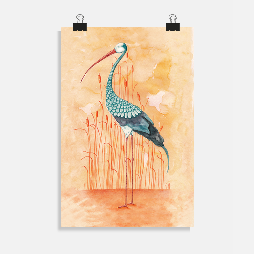 an exotic stork