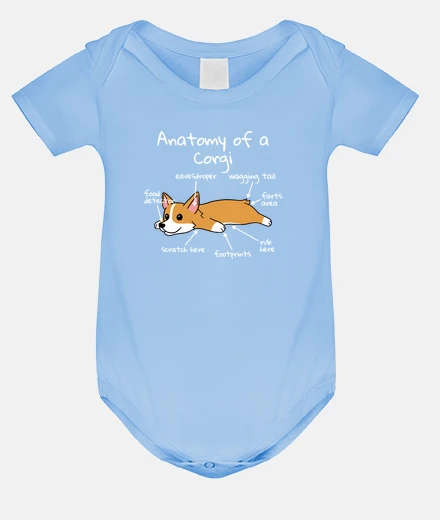 Abbigliamento anatomia di un cane corgi