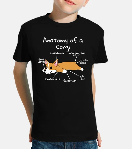 Abbigliamento anatomia di un cane corgi