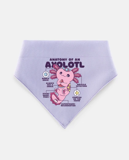 Mascotas anatomie d un axolotl humour marrant