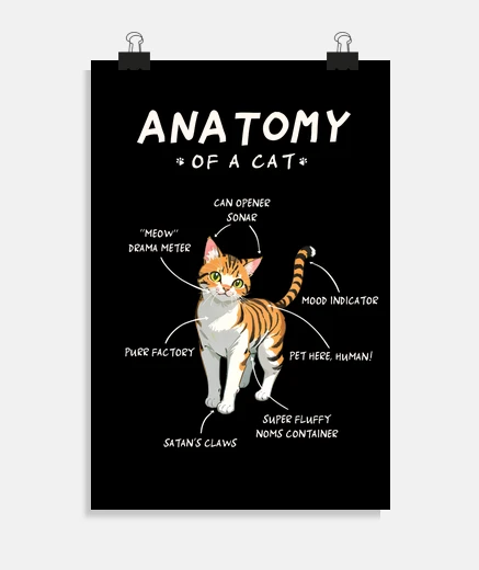 Poster anatomie du chat - idée cadeau drôle et mignonne pour chat