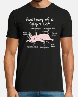 anatomie d39un sphinx de mascotte de ch