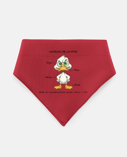 Mascotas anatomy of a duck