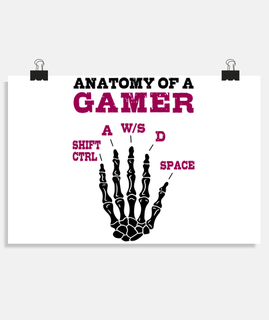 Anatomy of a gamer