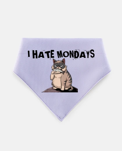 Mascotas Angry Monday Cat