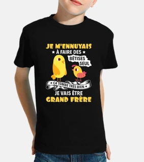 Annonce futur grand frere btises