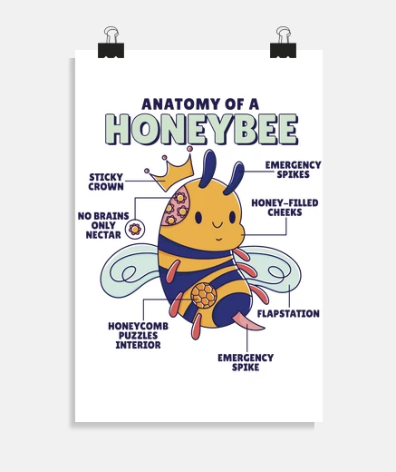 Poster ape anatomia moda umorismo miele poster laboratorio laboratorio soggiorno camera da letto poster