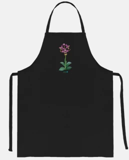 apron orchid