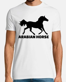 arabian horse