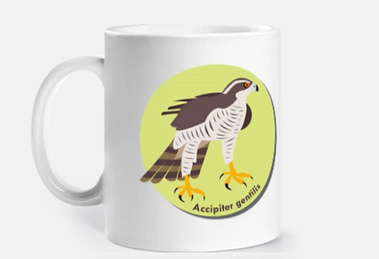Tazza astore comune - tazza