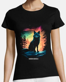 Aurora Boreal zorro artico