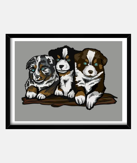 Framed australian shepherd baby puppies artist creation rare collector drawing