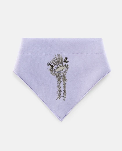 Mascotas autruche drôle