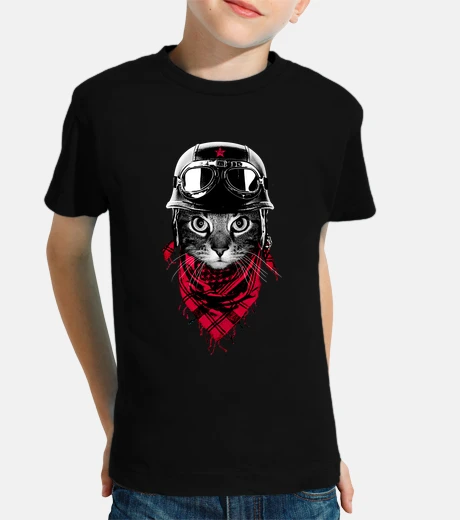 Vêtements aventurier chat
