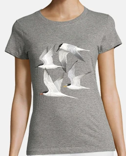 Aves marinas 1