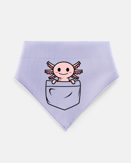 Mascotas axolotl dans une poche trop mignon
