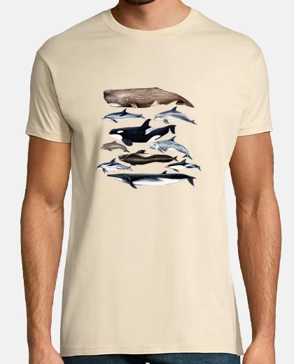 Camiseta Ballenas, cachalotes, rorcual y delfines camiseta 