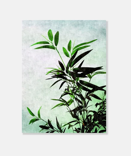 Wall bamboo
