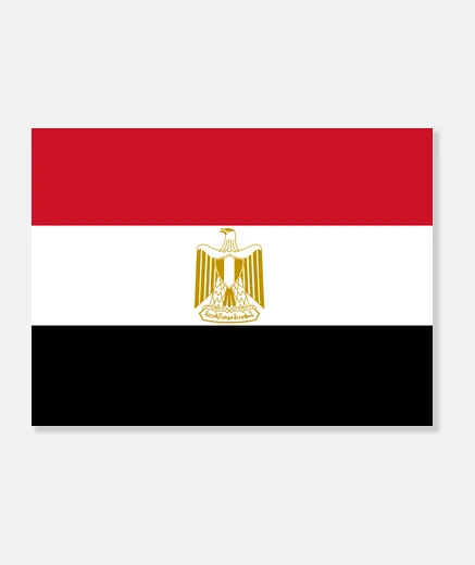 Lienzo Bandera de Egipto