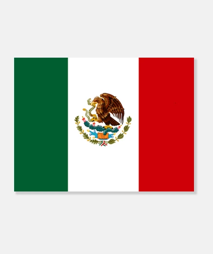 Lienzo Bandera de México