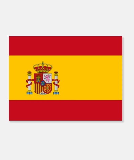 Stampa bandiera spagna