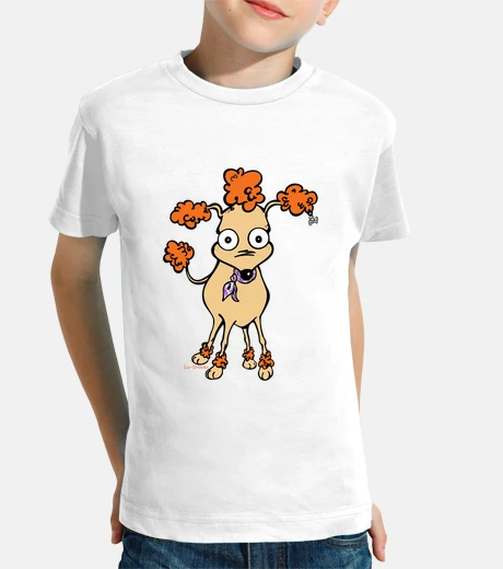 Abbigliamento barboncino.