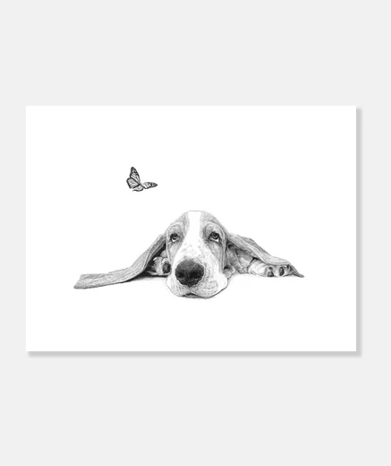 Stampa bassey basset
