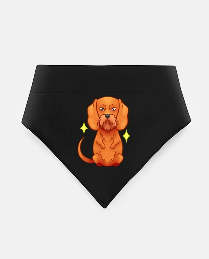 Mascotas bassotto