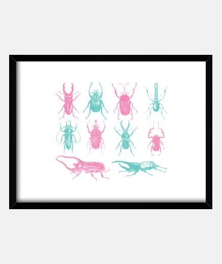 Framed beetles