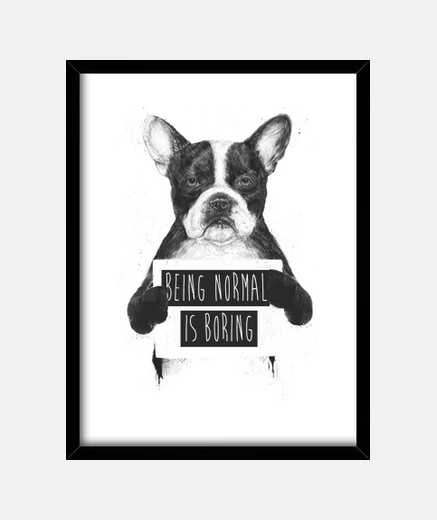 Framed being ordinary is boring