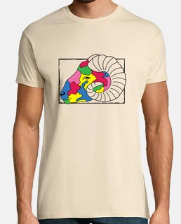 Bélier multicolore