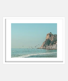 Benidorm birds