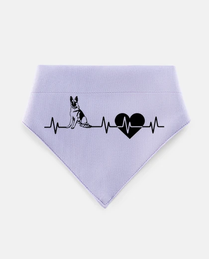 Mascotas berger allemand electrocardiogramme
