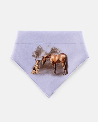 Mascotas berger allemand et cheval romantique