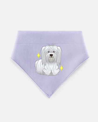 Mascotas bestiolen maltais