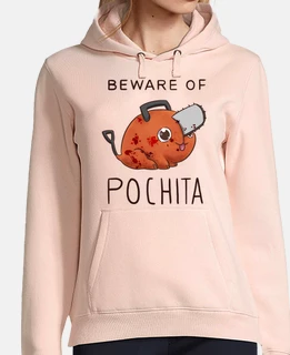 bew are of pochita
