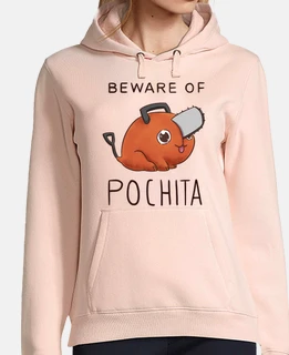 bew are of pochita 2