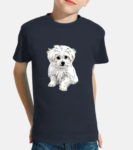 Ropa Bichón maltés
