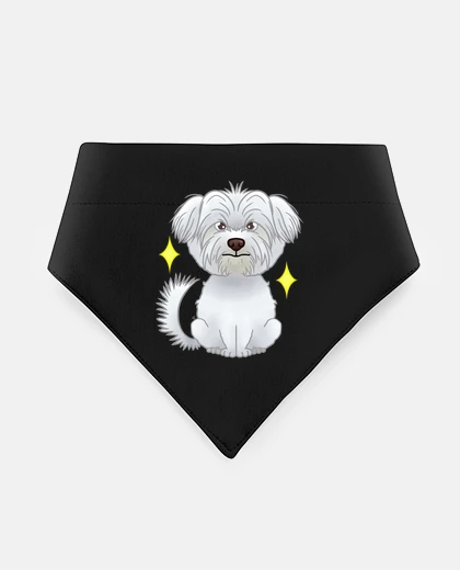 Mascotas bichón maltese