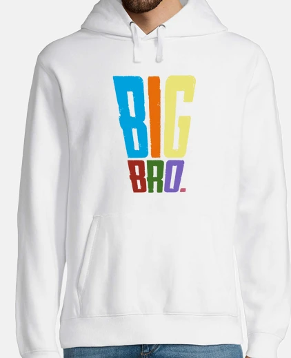 big brother big bro
