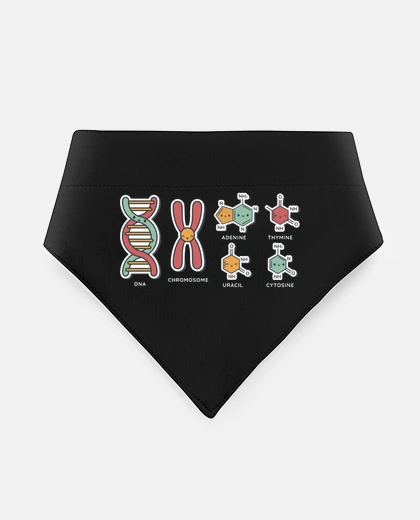 Mascotas biologie adn chromosome cytosine