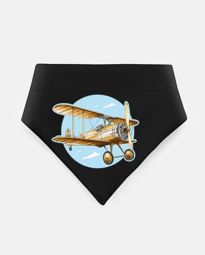 Mascotas biplane airplane aviator waco