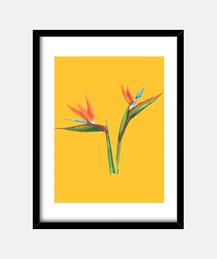 Framed birds of paradise