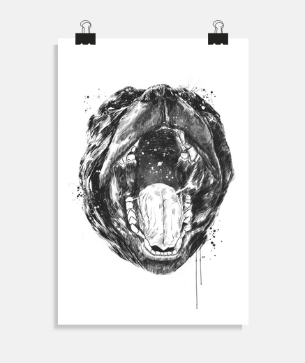 Poster birth of the universe