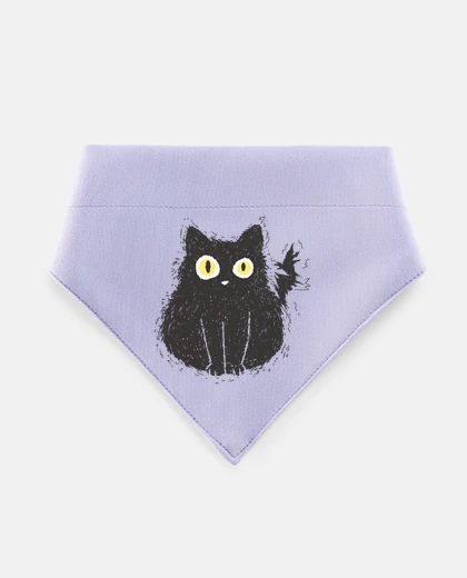 Mascotas black cat electrocuted funny humor