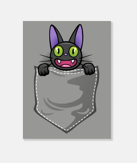 Wall black cat in the pocket