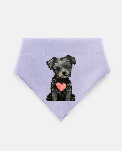 Mascotas black yorkshire beaver puppy heart
